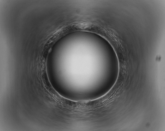 X0000101211349200806271405