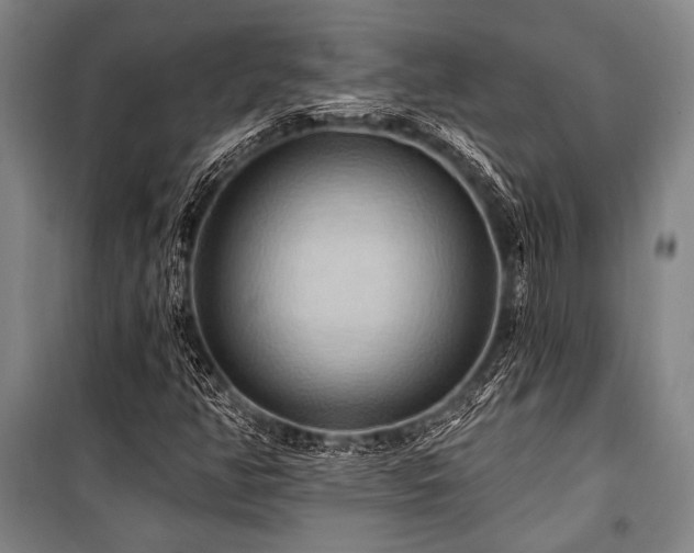 X0000101211350200806271405