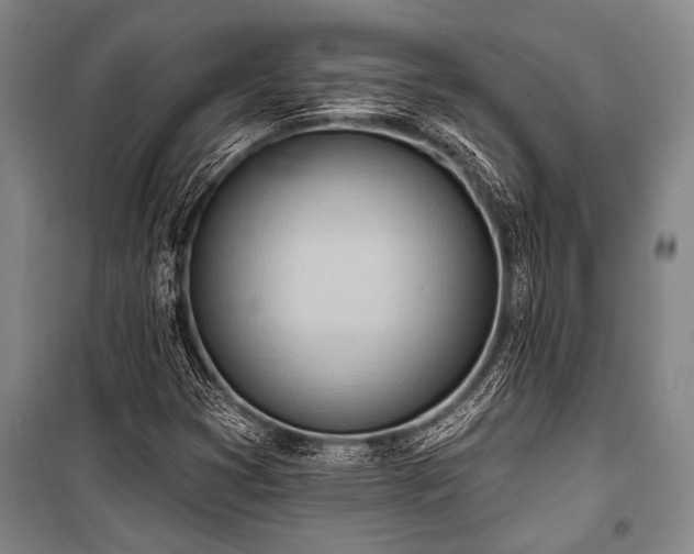 X0000101211353200806271405