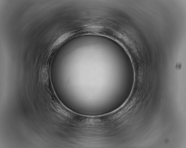 X0000101211354200806271404