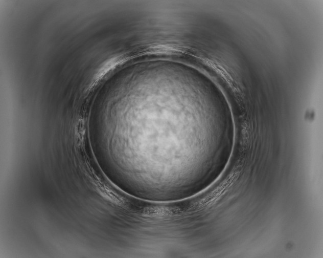 X0000101211355200806271404