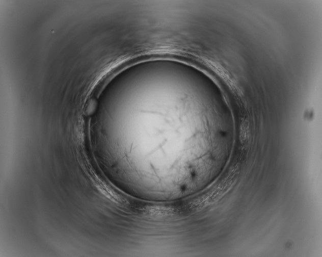 X0000101211356200806271404