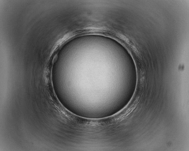 X0000101211357200806271404