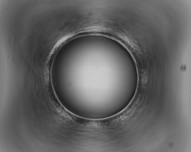 X0000101211358200806271404