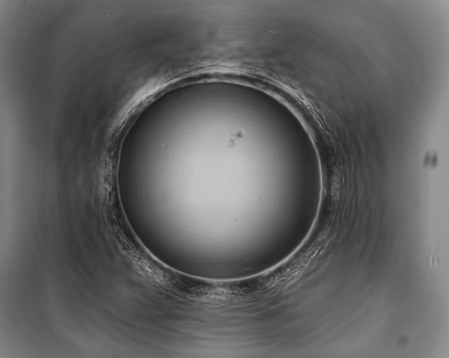 X0000101211359200806271404