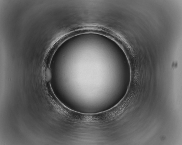 X0000101211360200806271404