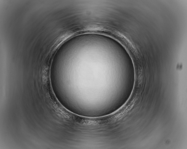 X0000101211361200806271404