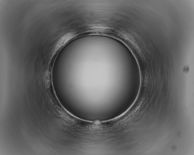 X0000101211362200806271404