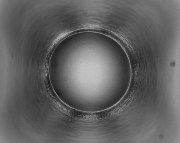 X0000101211363200806271404