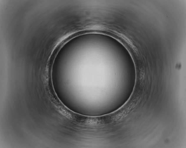 X0000101211364200806271404