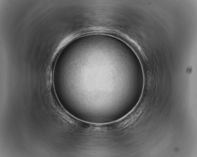 X0000101211365200806271404