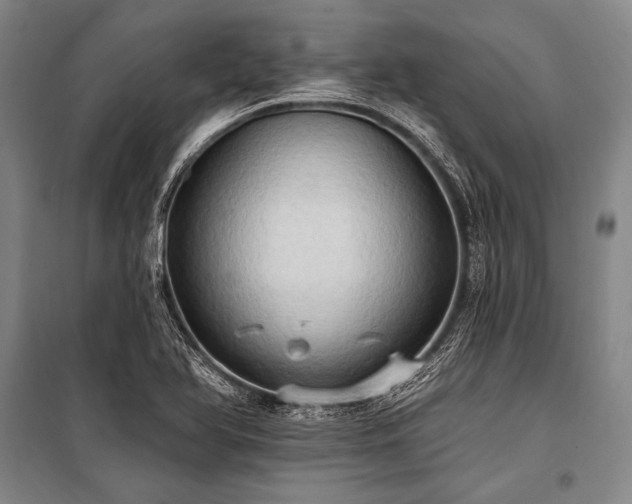 X0000101211366200806271404