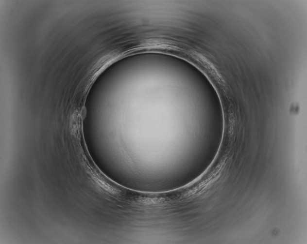 X0000101211369200806271404