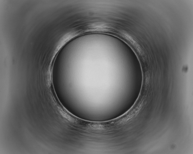 X0000101211370200806271404
