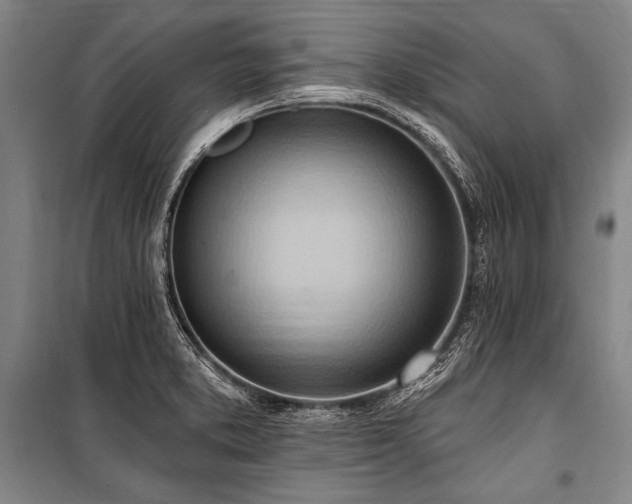 X0000101211373200806271404