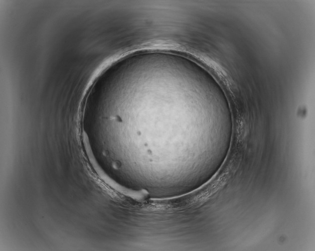 X0000101211374200806271404
