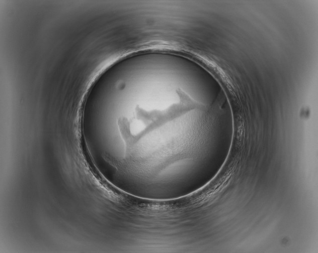 X0000101211375200806271404