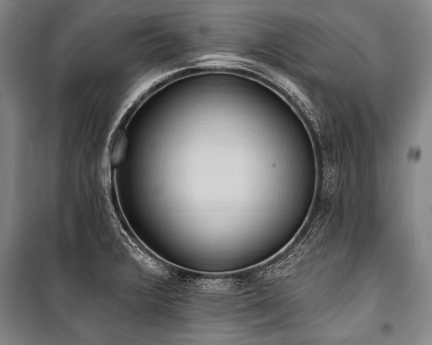 X0000101211376200806271404