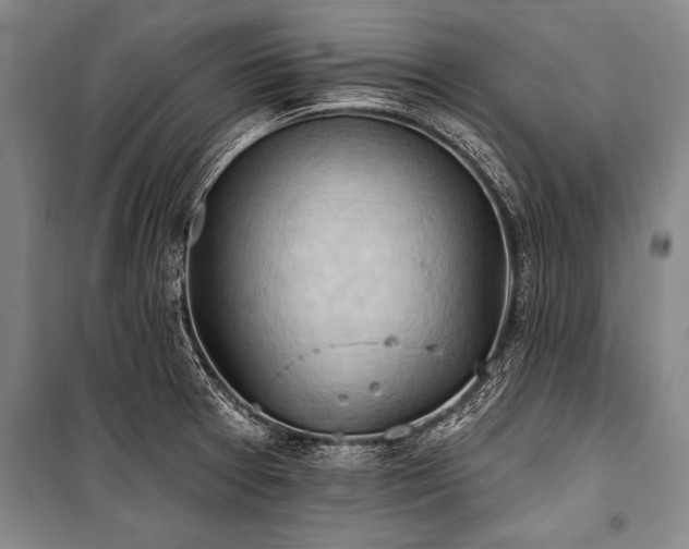 X0000101211377200806271404