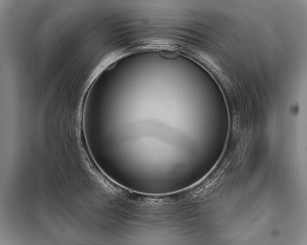 X0000101211378200806271404