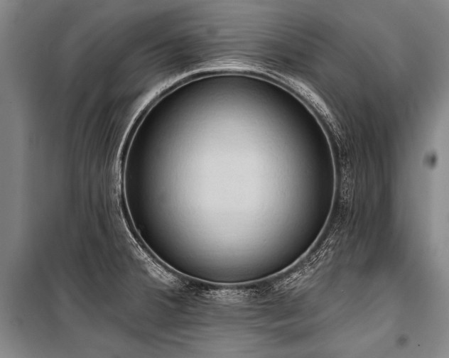 X0000101211380200806271404