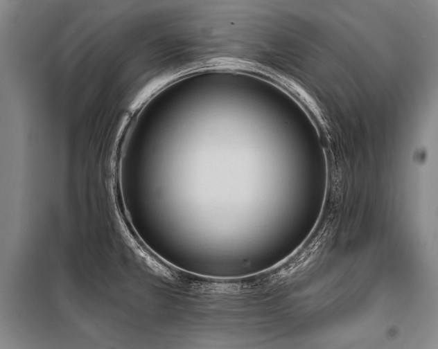 X0000101211381200806271404