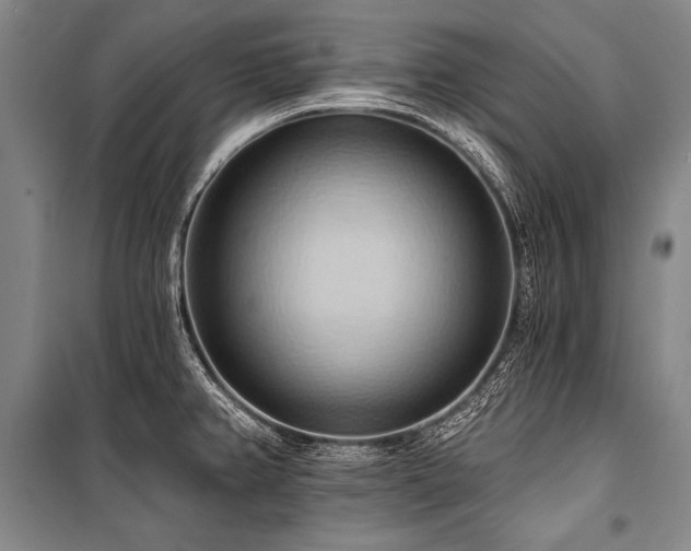 X0000101211382200806271404
