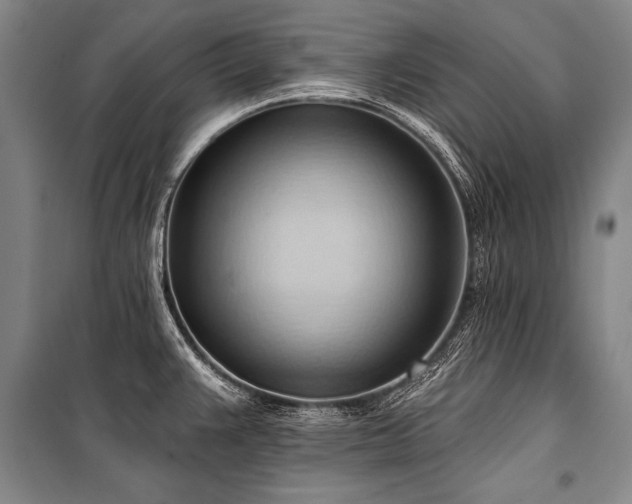 X0000101211383200806271404