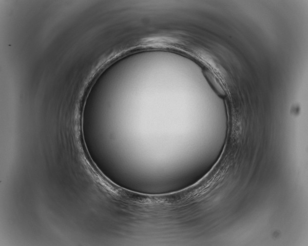 X0000101211384200806271404