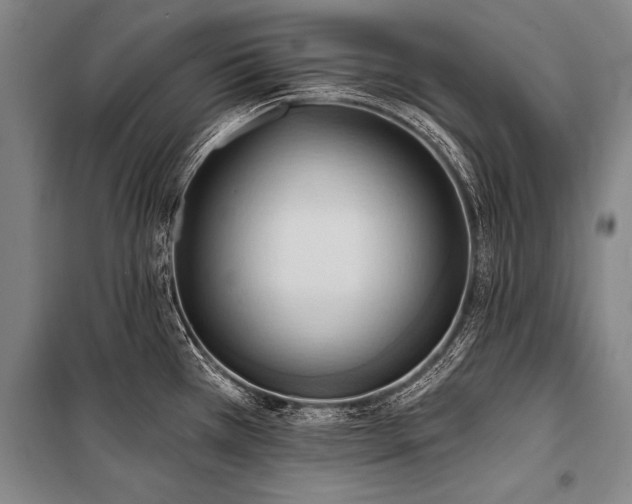 X0000101211385200806271404