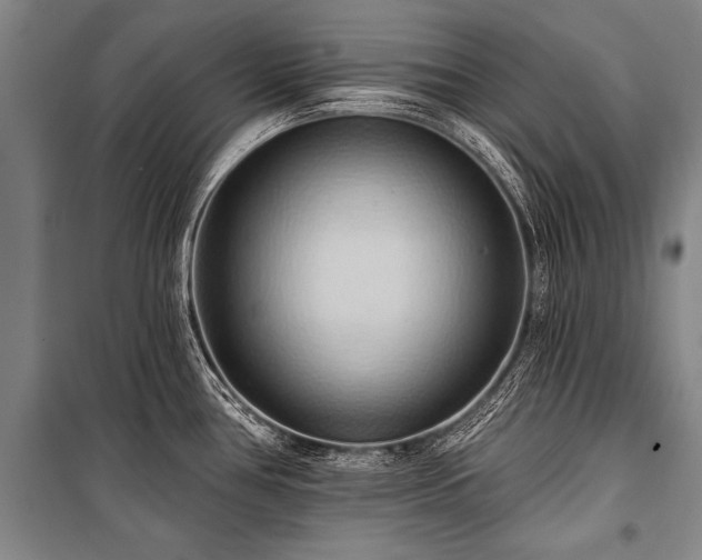 X0000101211386200806271404