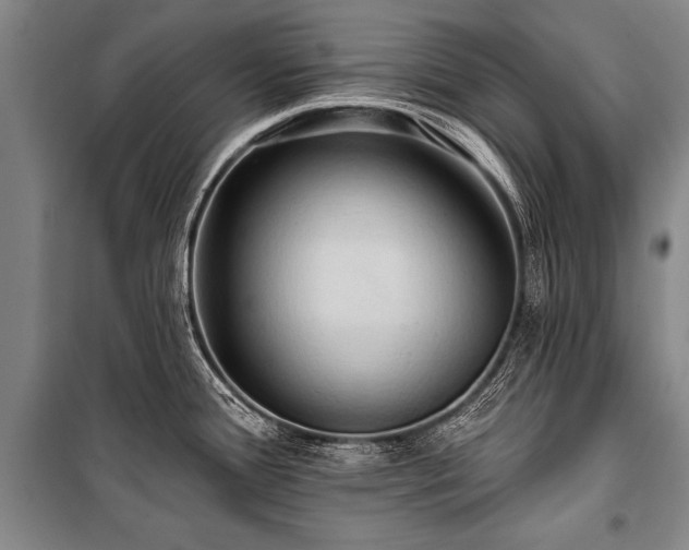 X0000101211388200806271404
