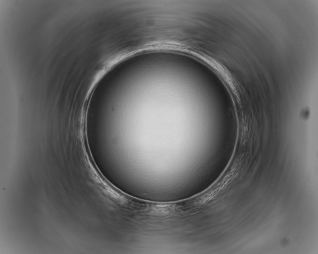 X0000101211390200806271404