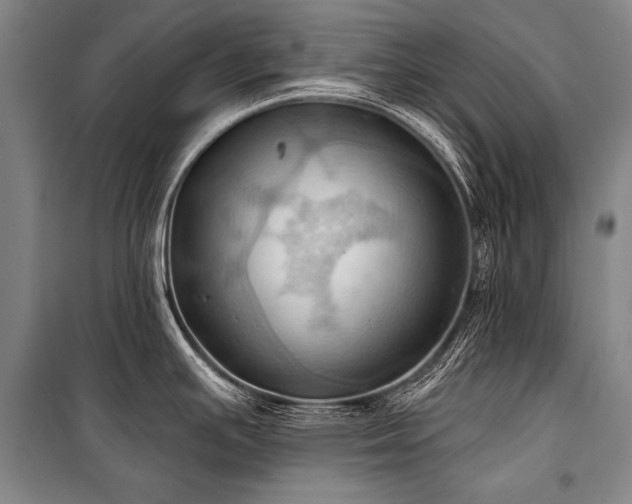 X0000101211391200806271404