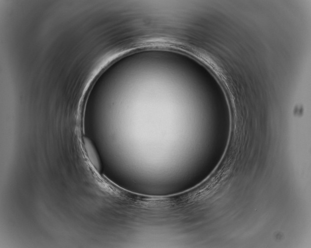 X0000101211392200806271404