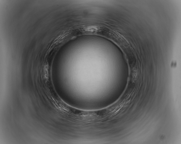 X0000101211394200806271403
