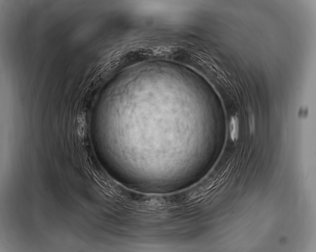 X0000101211395200806271403