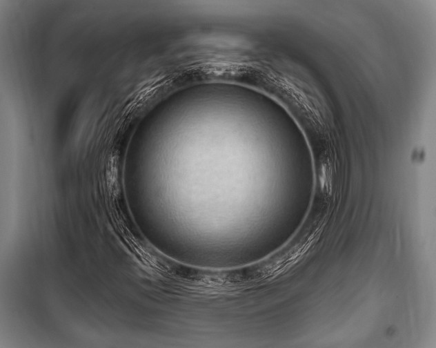 X0000101211396200806271403