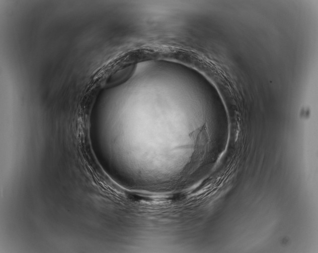 X0000101211397200806271403