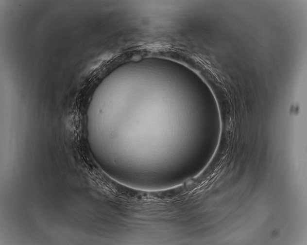 X0000101211398200806271403