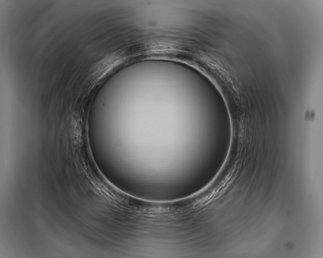 X0000101211401200806271403