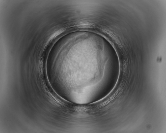 X0000101211402200806271403