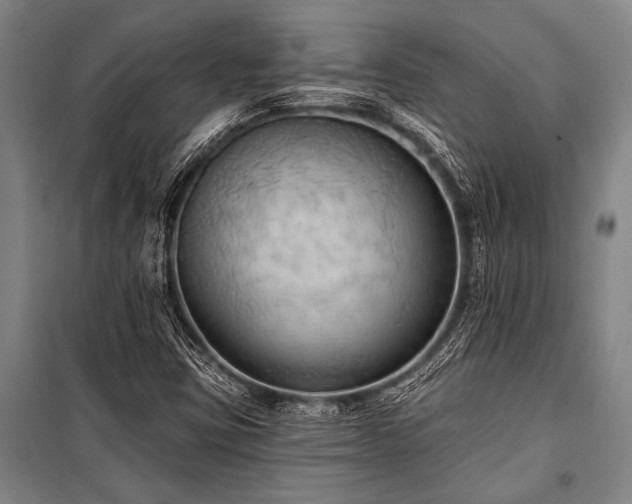 X0000101211403200806271403