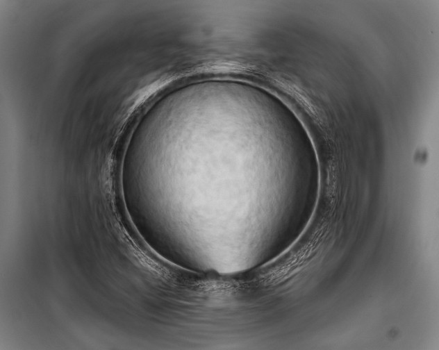 X0000101211404200806271403