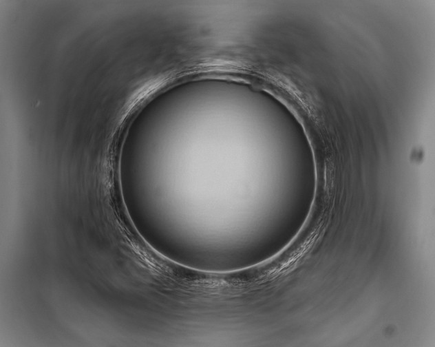 X0000101211405200806271403