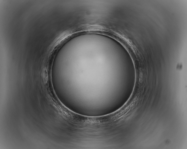 X0000101211407200806271403