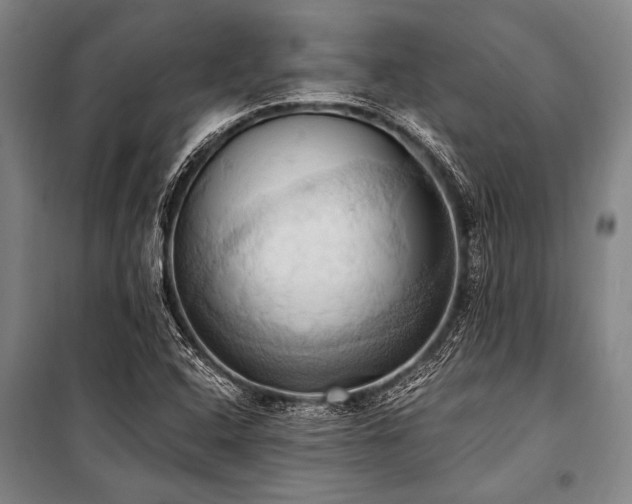 X0000101211408200806271403