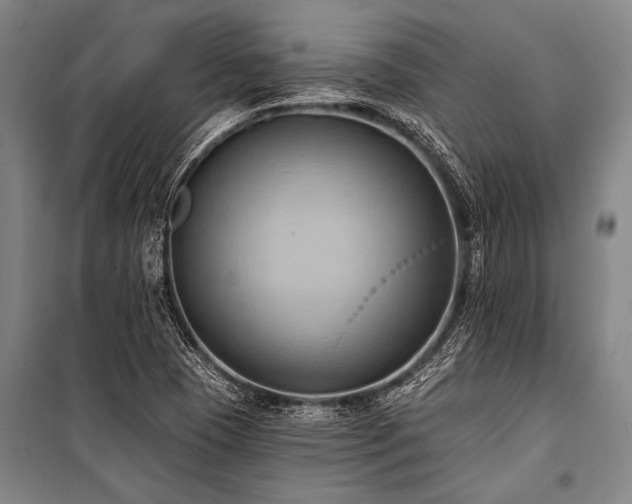 X0000101211409200806271403