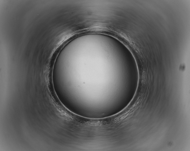 X0000101211410200806271403