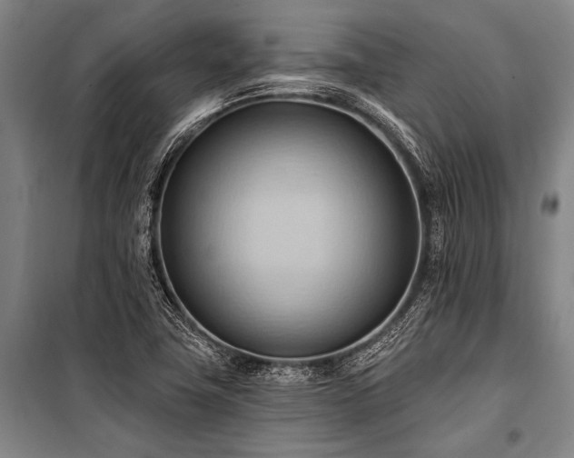 X0000101211411200806271403